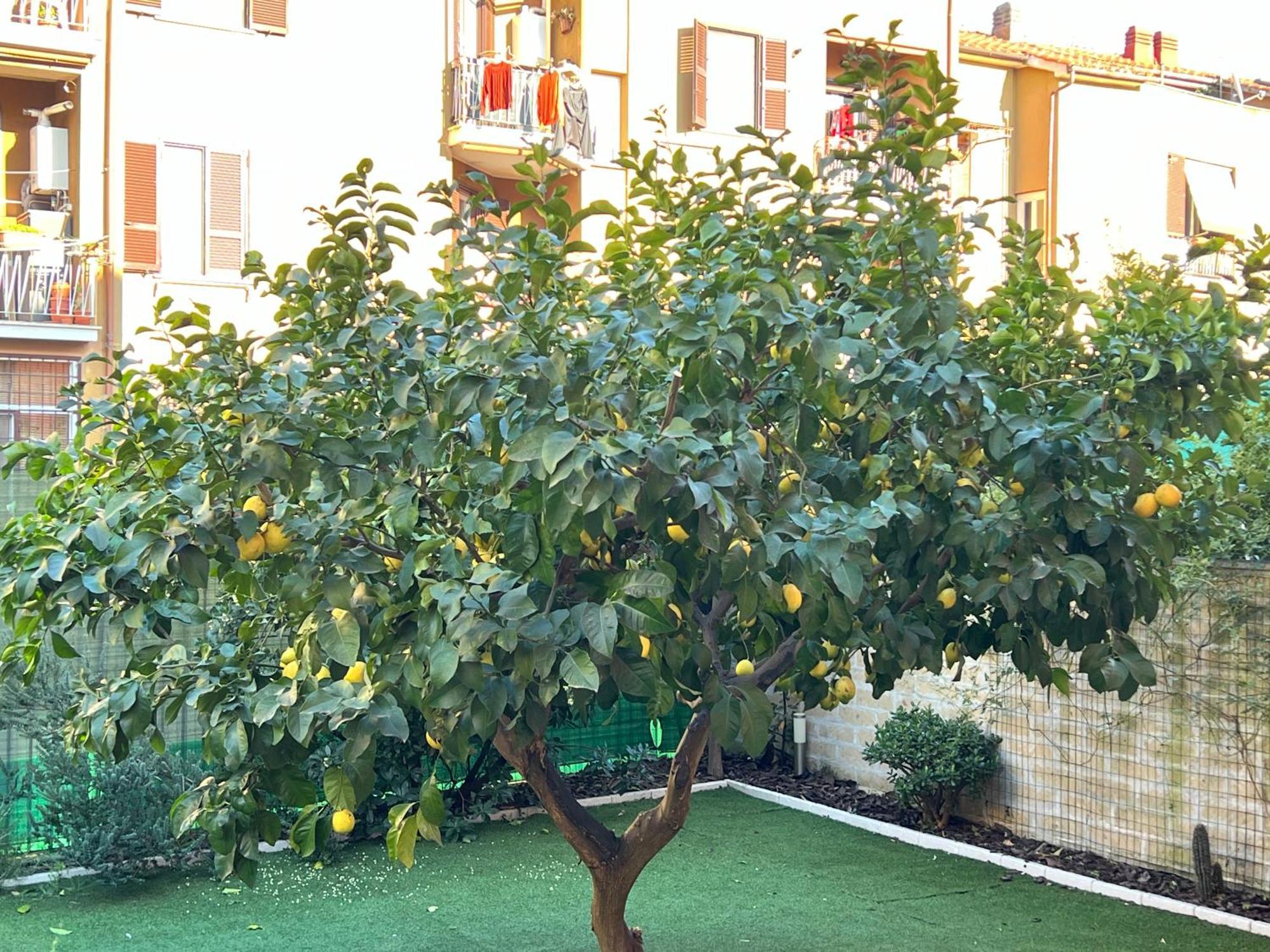 Casa Paestum. Your Wonderful Garden In Roma Eksteriør bilde